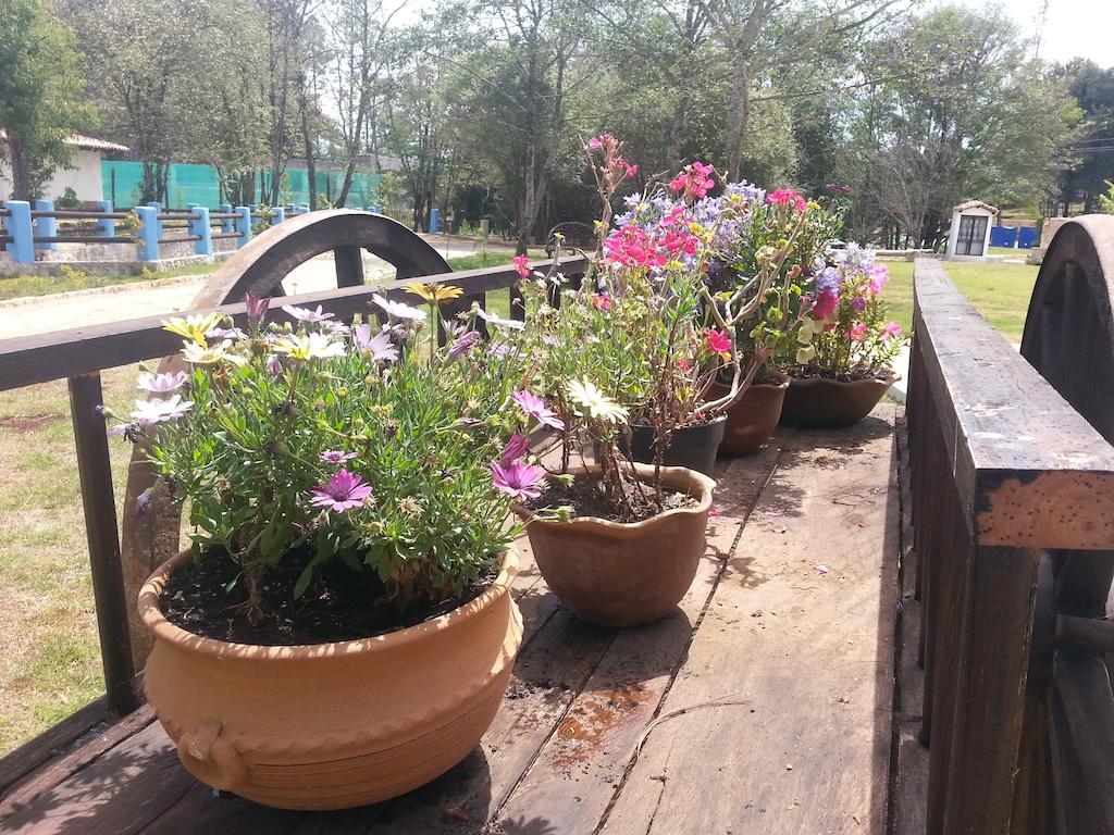Hotel Hacienda Club La Diligencia San Cristobal de las Casas Ngoại thất bức ảnh